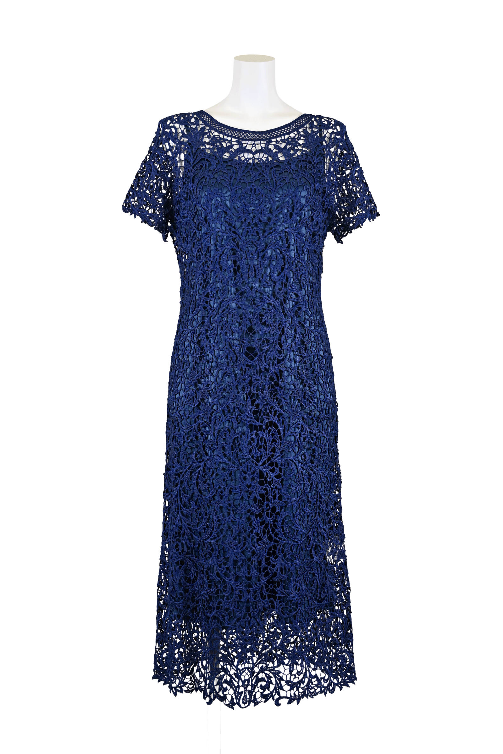 パーフェクトレース刺繡ドレス | レースワンピースやブラウスなど パーフェクトレース刺繡ドレス | レースワンピースやブラウスなど