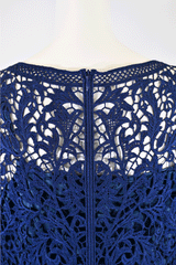 [30% OFF] Perfect Lace Embroidered Dress