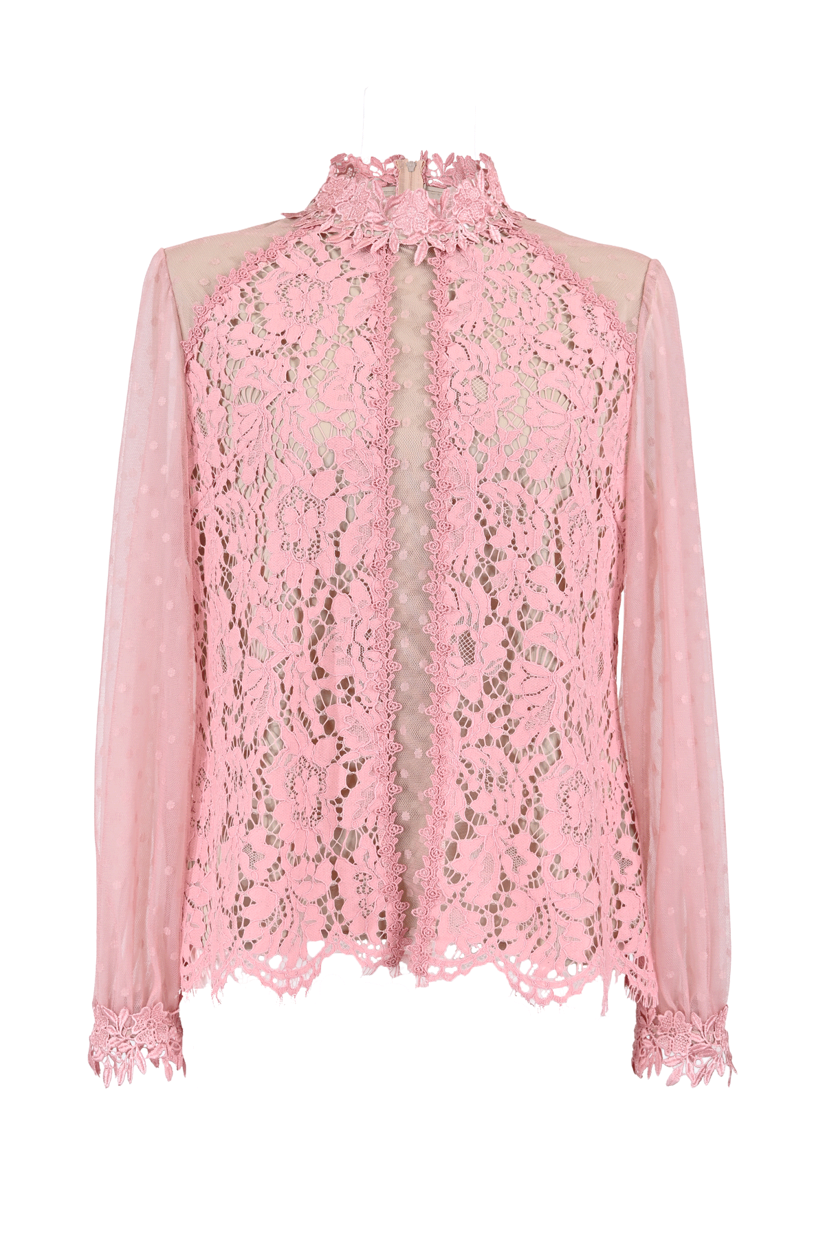 Valentino レース トップス 美品✨ヴァレンティノ VALENTINO レース