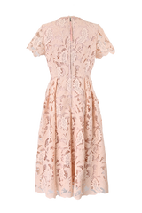 [30% OFF] Velvet Lace Accent Dress
