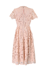 [30% OFF] Velvet Lace Accent Dress
