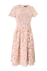 [30% OFF] Velvet Lace Accent Dress