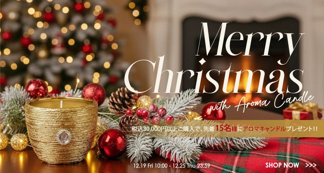 お雪　未使用　ディノス　DAMA collectionCセリーンワンピース CHRISCELIN/クリスセリーン パーフェクトレース ワンピース 通販